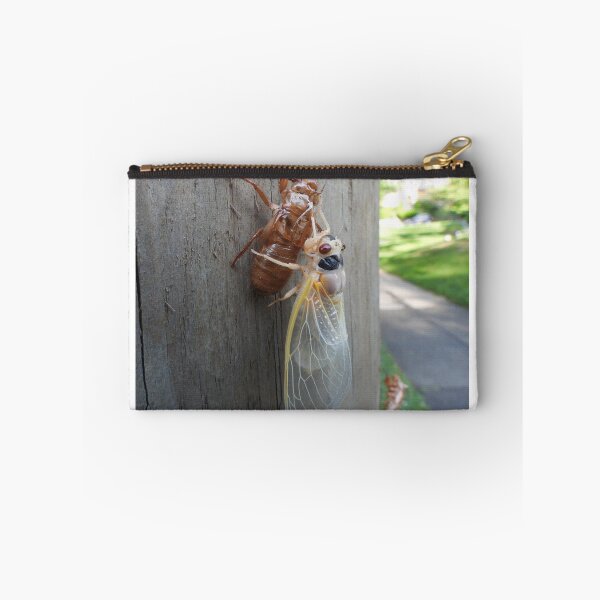 Item preview, Let's hang... (Brood X cicada) designed and sold by UpTowardTheSky.