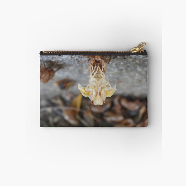 Item preview, symmetry (2021 Brood X cicada teneral) designed and sold by UpTowardTheSky.