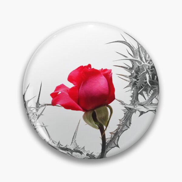 Item preview, A rose between many thorns. designed and sold by Paul Pasco.