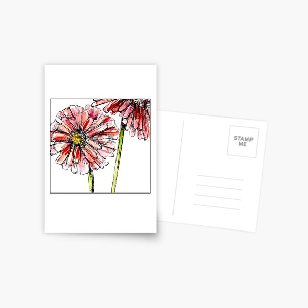 Pink Daisy Postcard