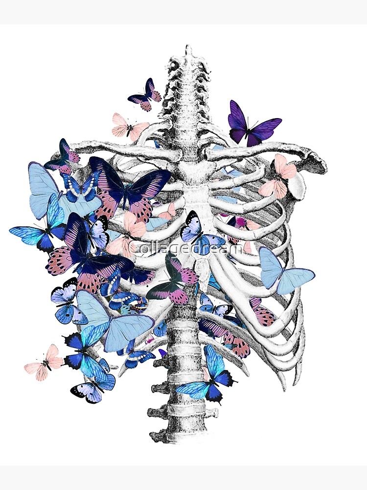 rib cage and blue butterflies, ribcage, human skeleton art Metal