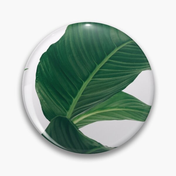 Item preview, Tropical Palm Tree Leaf designed and sold by newburyboutique.