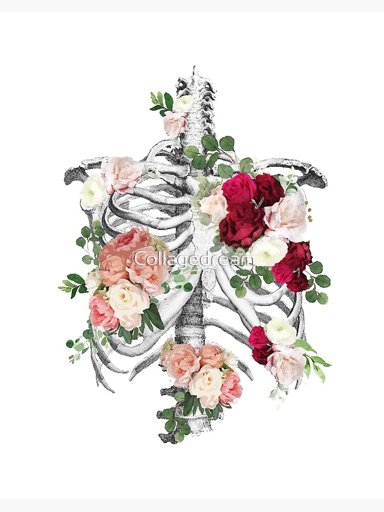 Anatomy, ribcage, rib cage,roses bloom spring | Art Board Print