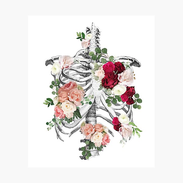 Anatomy, ribcage, rib cage,roses bloom spring Photographic Print