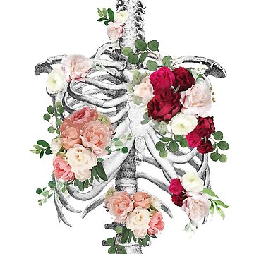 Vorschaubild zum Design Anatomie, Brustkorb, Brustkorb, Rosen blühen Frühling von Collagedream
