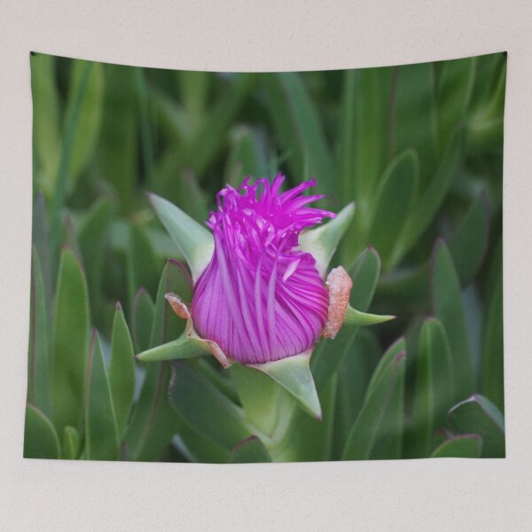 Item preview, Lonely Pinkish Beauty designed and sold by ALEX PHOTO DREAMS.