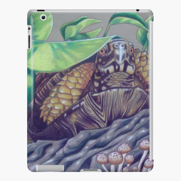 Dax, Eastern Box Turtle iPad Snap Case