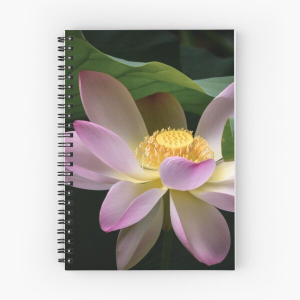 Item preview, Lotus designed and sold by Olimpia Negura.