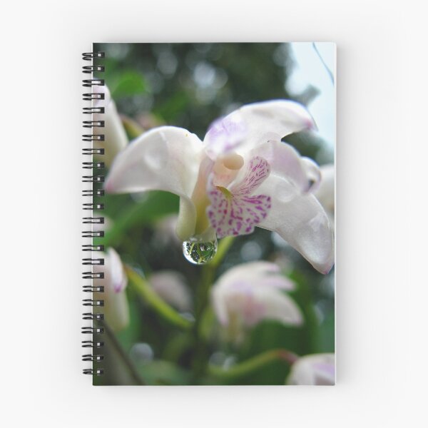 Item preview, orchid2 designed and sold by Tania  Donald.