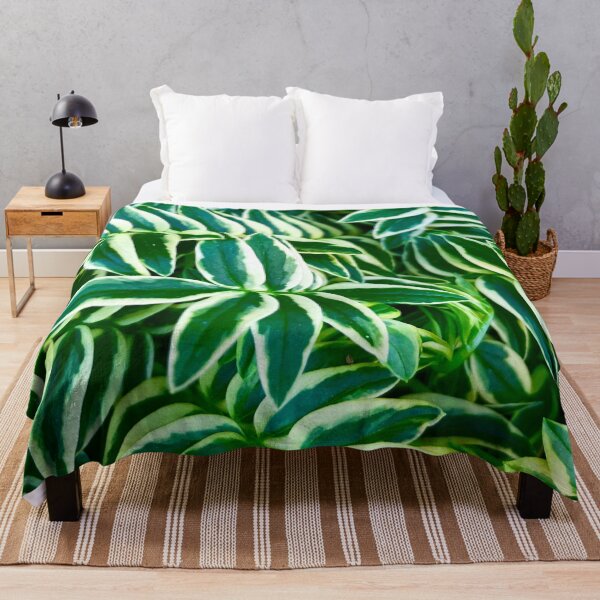 Item preview, Jacobs Ladder Plant Leaves designed and sold by PRNTDADZ.