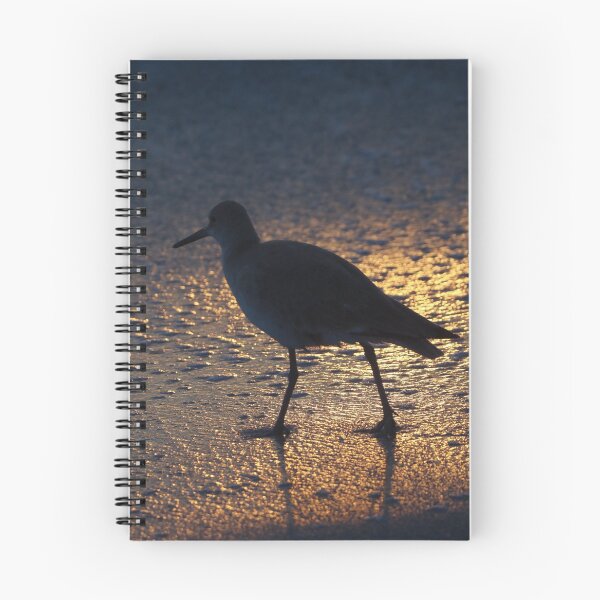 Item preview, Willet at Last Light designed and sold by litwphoto.