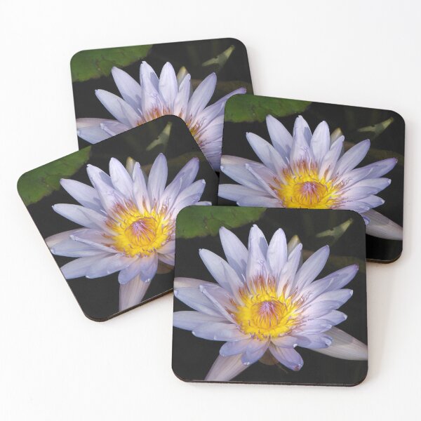 Item preview, Lilly's designed and sold by David D. Shaw.