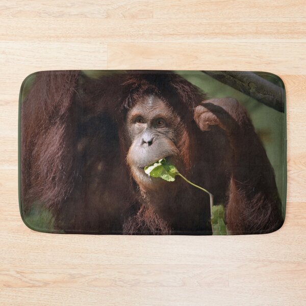 Item preview, Sumatran Orangutan  designed and sold by Savannah Gibbs.