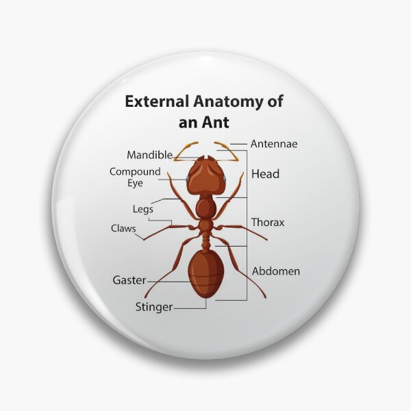 Item preview, Ant Keeping Keeper Collector Teamwork Motivational designed and sold by CuteDesigns1.