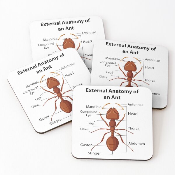 Item preview, Ant Keeping Keeper Collector Teamwork Motivational designed and sold by CuteDesigns1.