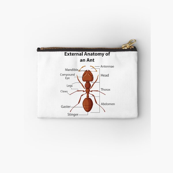 Item preview, Ant Keeping Keeper Collector Teamwork Motivational designed and sold by CuteDesigns1.