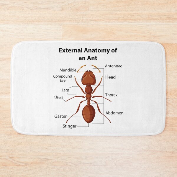 Item preview, Ant Keeping Keeper Collector Teamwork Motivational designed and sold by CuteDesigns1.