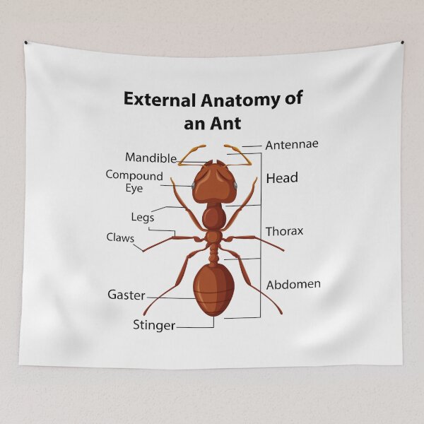 Item preview, Ant Keeping Keeper Collector Teamwork Motivational designed and sold by CuteDesigns1.