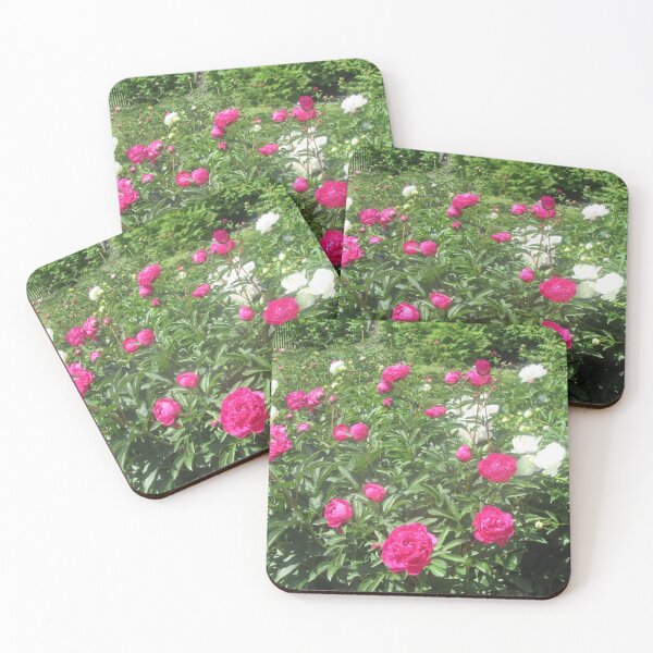 Item preview, Pink and White Peonies designed and sold by Shulie1.