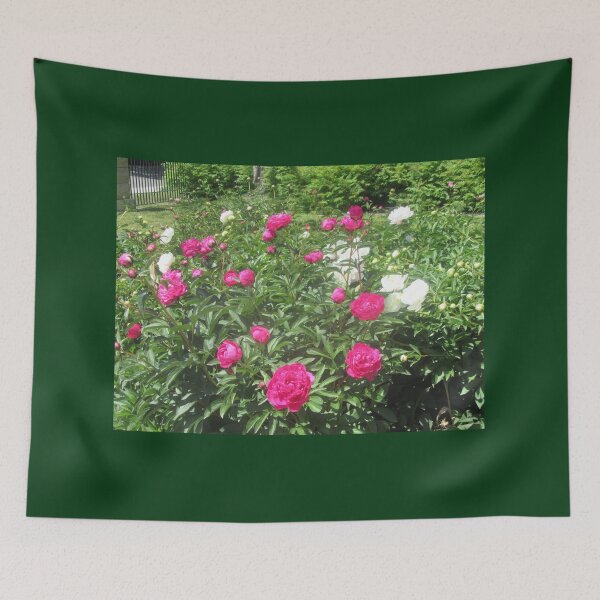 Item preview, Pink and White Peonies designed and sold by Shulie1.