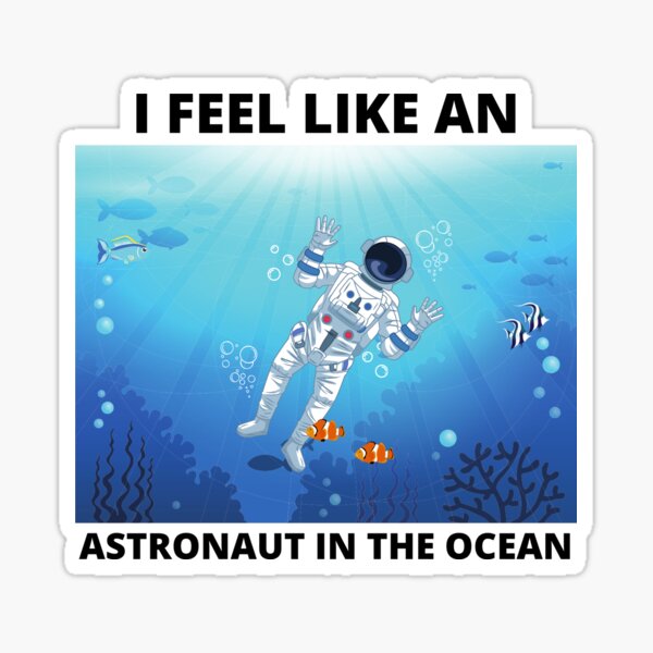astronaut in the ocean lyrics