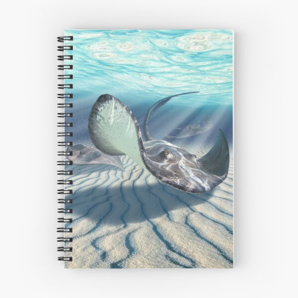 Item preview, Sting Rays 2 designed and sold by Jerry LoFaro.