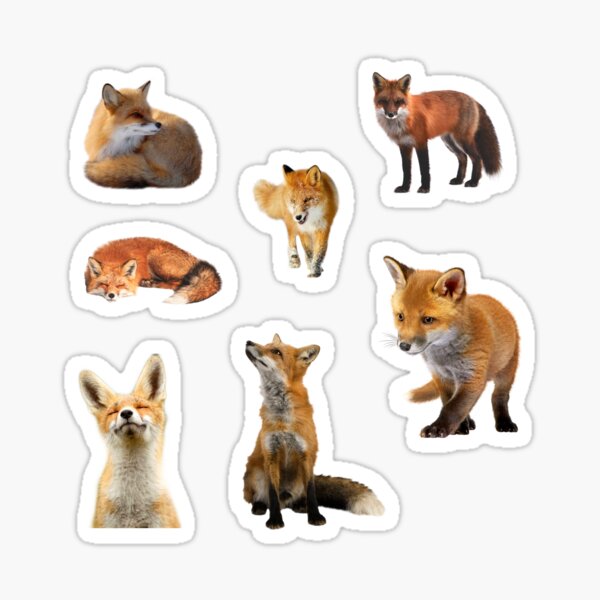 Item preview, Fox sticker pack designed and sold by starseedgems.