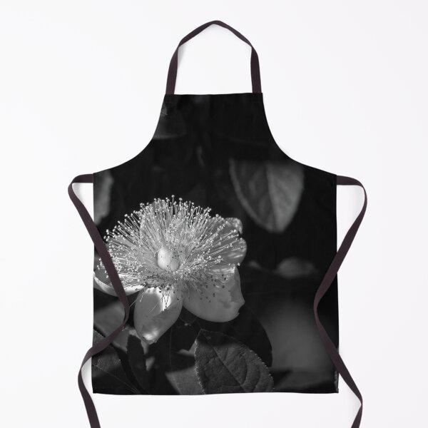 Item preview, Cedarglade St. John's Wort designed and sold by Thymely.