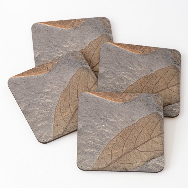 Item preview, Fossil leaves on a limestone of Tertiary age from Czech Republic. designed and sold by Zosimus.