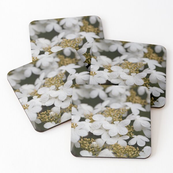 Item preview, Detail photo of Japanese Snowball flowers, Viburnum plicatum designed and sold by Zosimus.