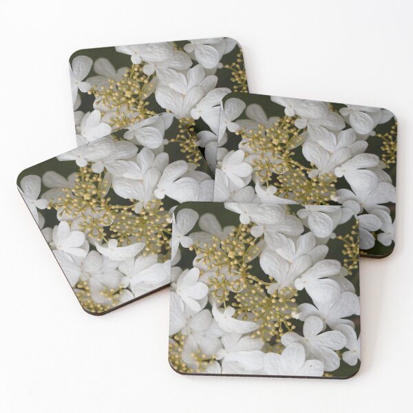Item preview,  Japanese Snowball flowers, Viburnum plicatum designed and sold by Zosimus.
