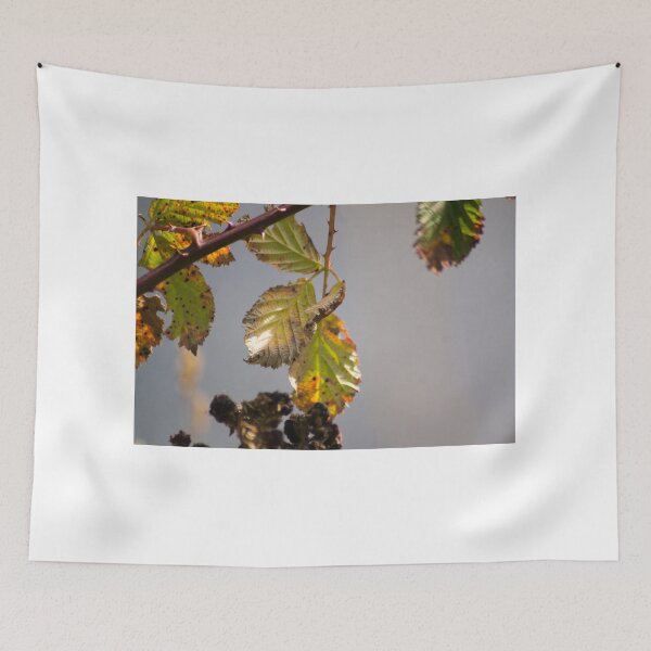 Item preview, clb leaf designed and sold by pcfyi.