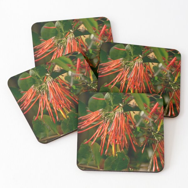 Item preview, clb red foliage designed and sold by pcfyi.