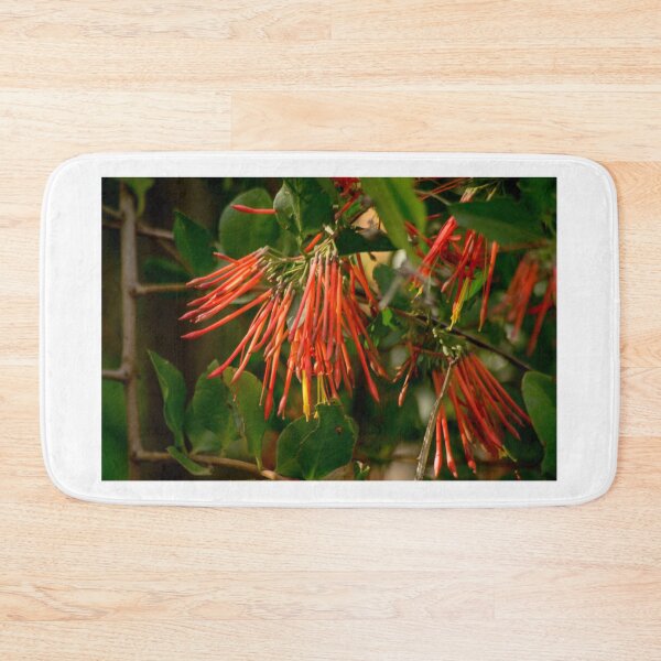 Item preview, clb red foliage designed and sold by pcfyi.