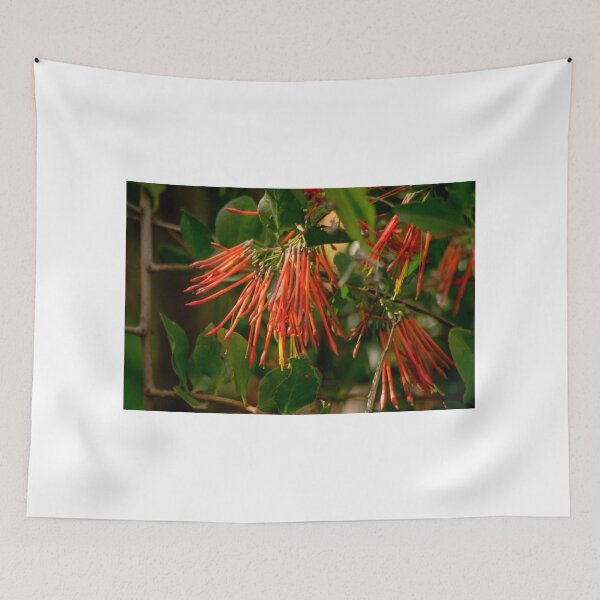 Item preview, clb red foliage designed and sold by pcfyi.
