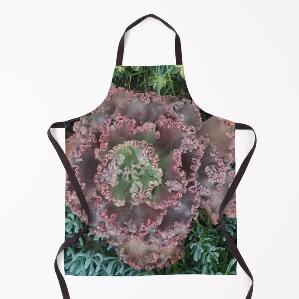 Item preview, Real Echeveria Flower -  Succulent Family of Plants designed and sold by Ilana Khoshsima.