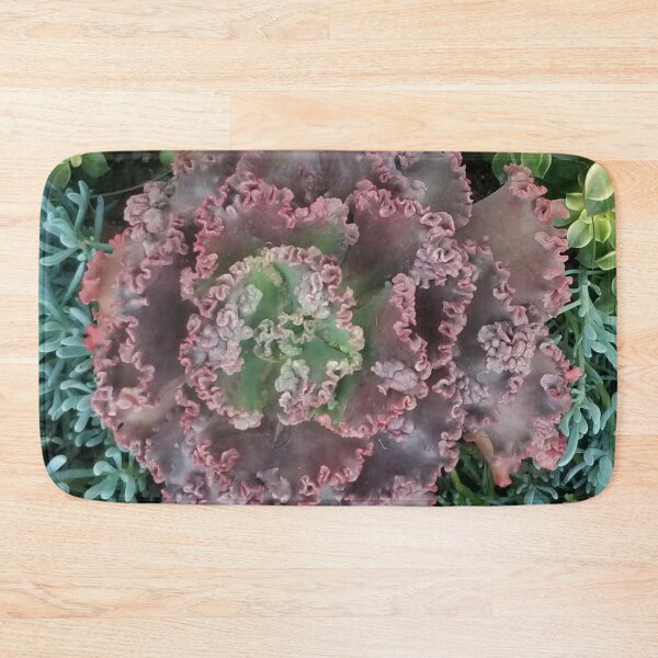 Item preview, Real Echeveria Flower -  Succulent Family of Plants designed and sold by Ilana Khoshsima.