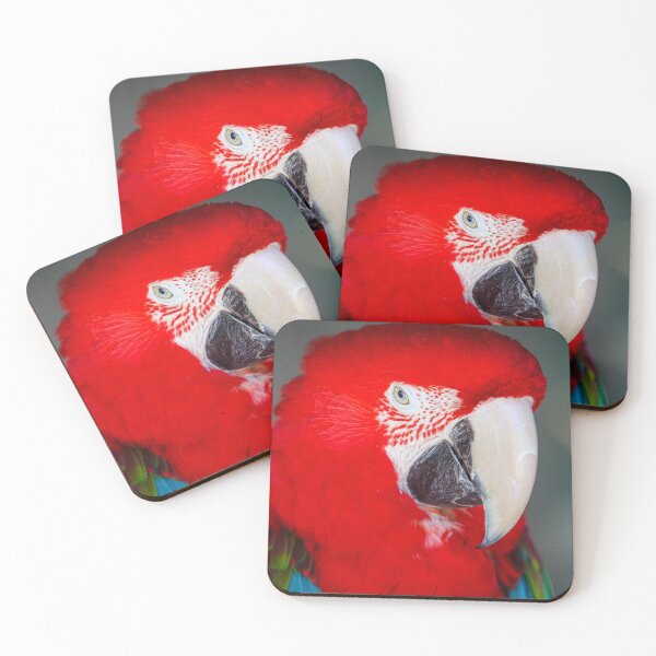 Item preview, Scarlet Macaw designed and sold by Matting It Up.