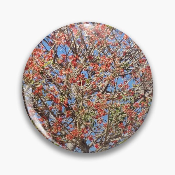 Item preview, Bloom of Real Image of Coral Tree in California designed and sold by Ilana Khoshsima.
