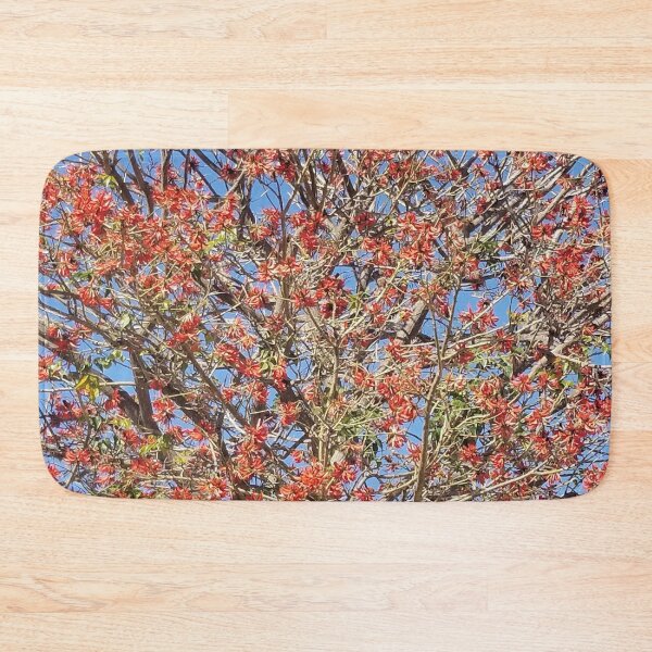 Item preview, Bloom of Real Image of Coral Tree in California designed and sold by Ilana Khoshsima.
