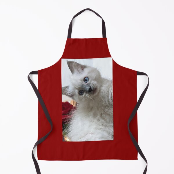 Item preview, Ragdoll kitten designed and sold by Fluffycat2020.