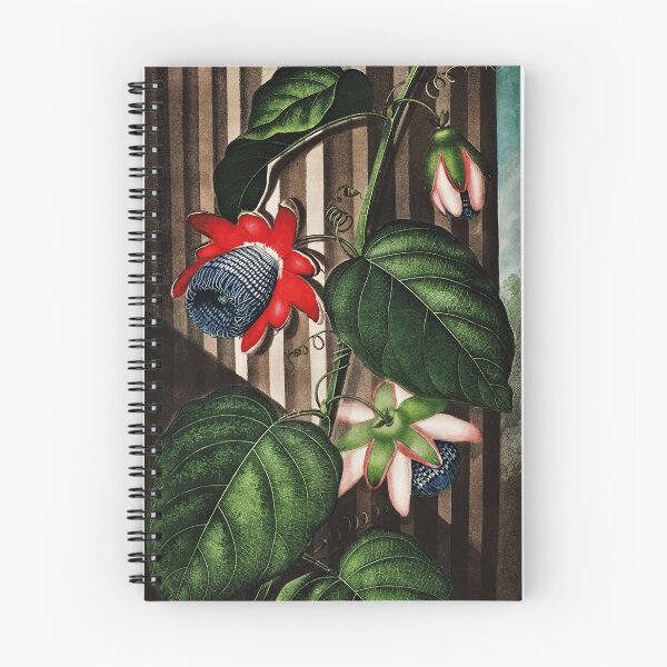 Item preview, Passion Flower - The Winged Passion-Flower designed and sold by SEEMUELLER.