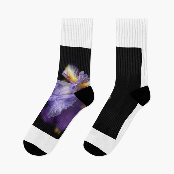 Item preview, Purple gladiolous on black background designed and sold by olena2552.