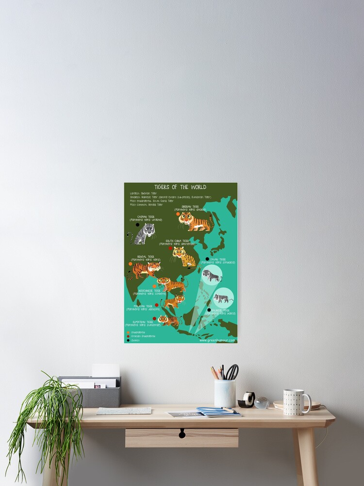 Tigers of the World Poster Print 