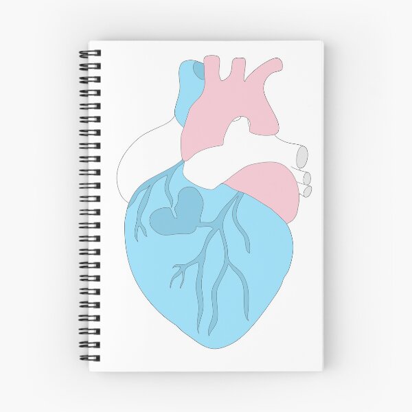 Item preview, Transgender Pride Anatomical Heart designed and sold by urnickle.