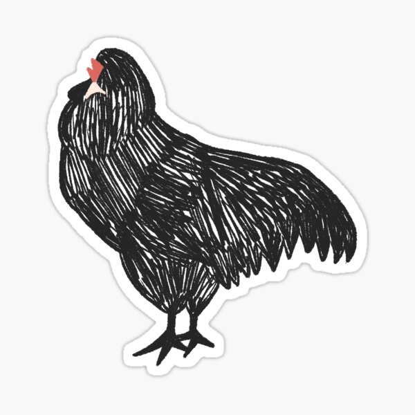 Fluffy Black Chicken Sticker