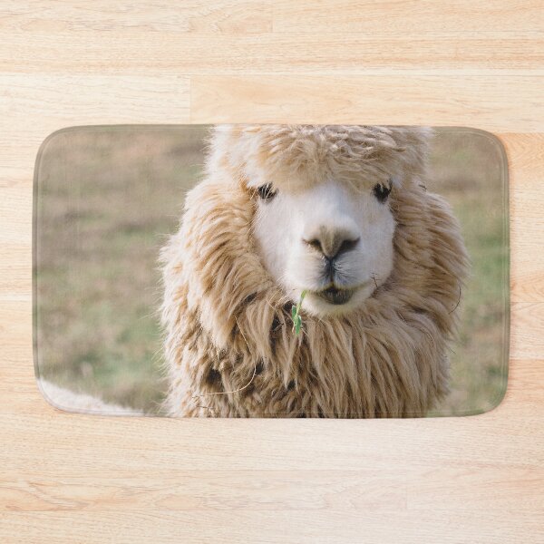 Item preview, Hey This Is An Alpaca, Not A Llama! - Thick Fur Funny Face on A Farm Chewing Grassroots - Funny Alpaca Face designed and sold by sthNnth.