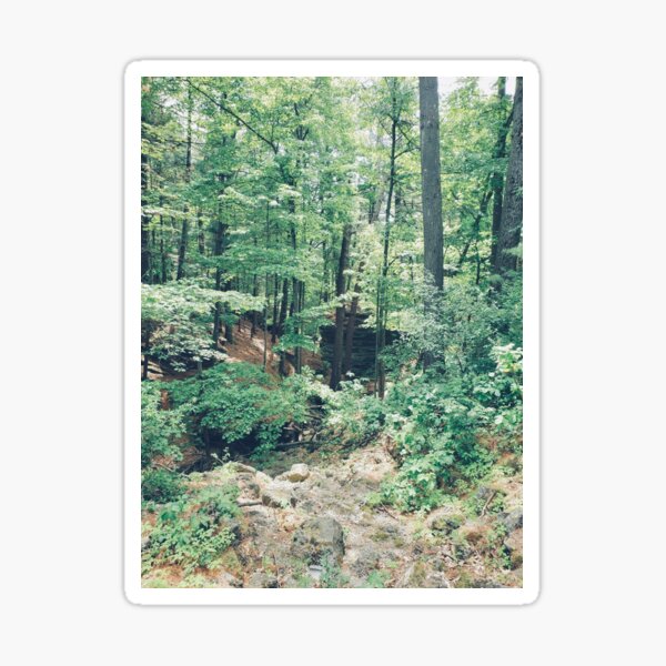 Item preview, Dells Foliage Forest designed and sold by MotherBreeze.