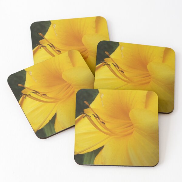 Artikelvorschau, Lily Bloom, Vibrant Nature Photography, Macro Lily von Courtney Hatcher entworfen und verkauft von cghatcherart.
