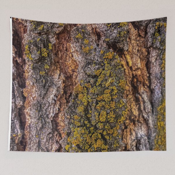 Item preview, Striking Textured Autumn Colored Tree Trunk Bark designed and sold by ADreamWorld.
